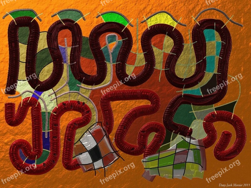 Snake Worm Orange Curves Art