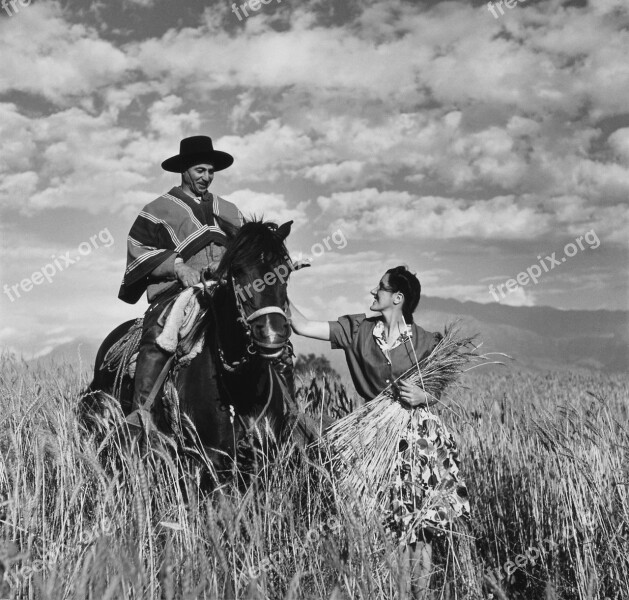 Gaucho Reiter Horse Ride Black And White