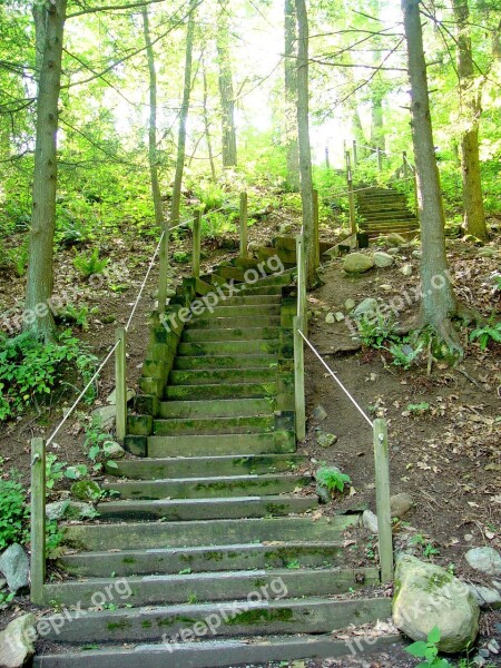 Stairs Steps Wooden Steps Path Forest