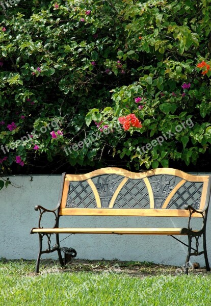 Garden Bench Bougainvillea Flowers Vines