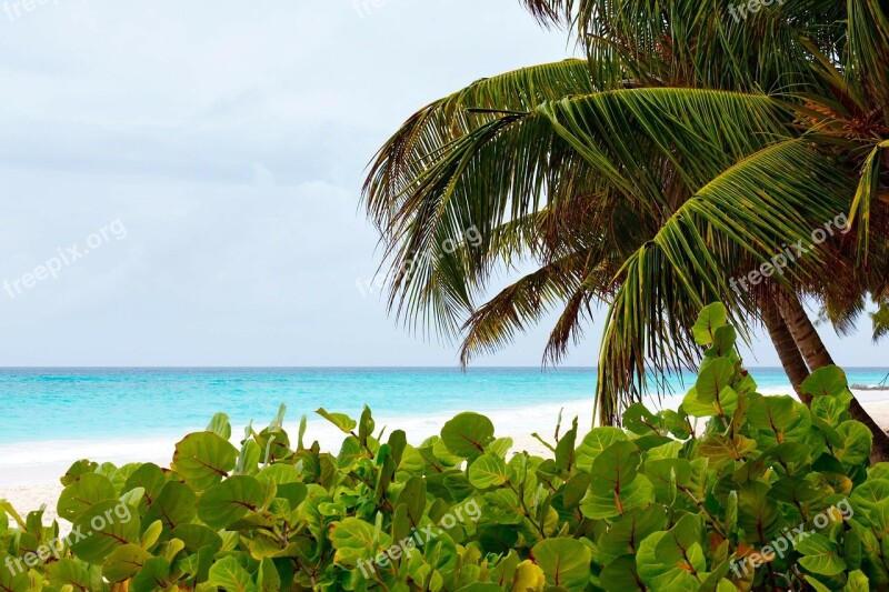 Beach Beautiful Blue Coast Landscape