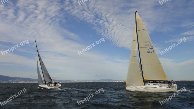 Sailing Yacht Yacht Racing Sea Wind