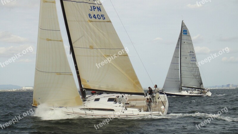 Sailing Yacht Yacht Racing Sea Wind