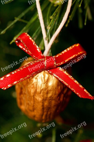 Bow Christmas Close-up Decoration Detail