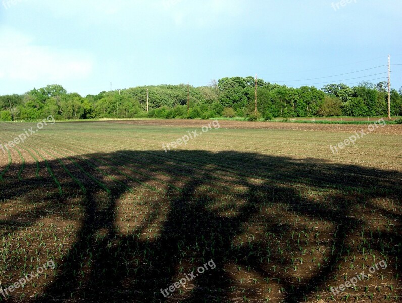 Shadow Corn Field Farm Dirt Plowed