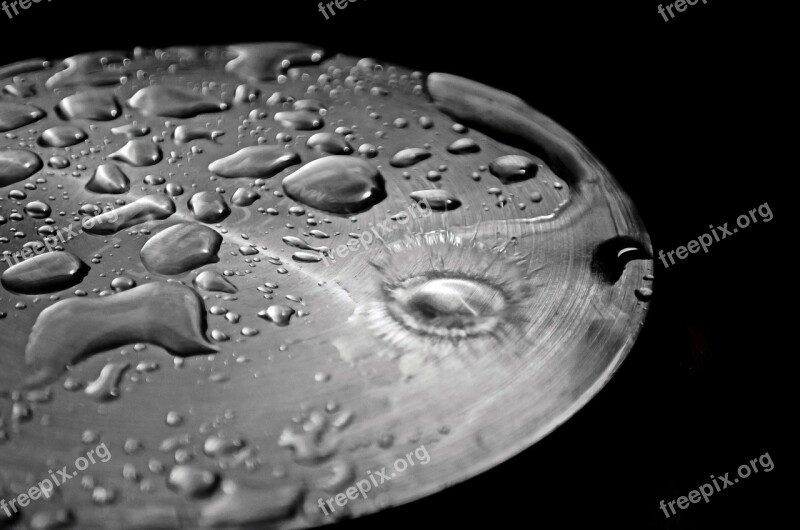 Drop Drops Rain Water Macro