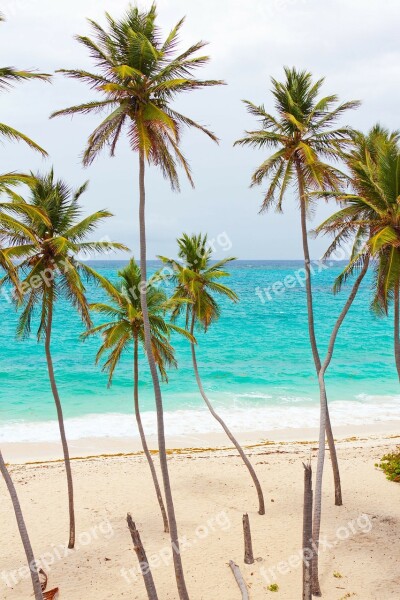 Beach Beautiful Blue Coast Landscape