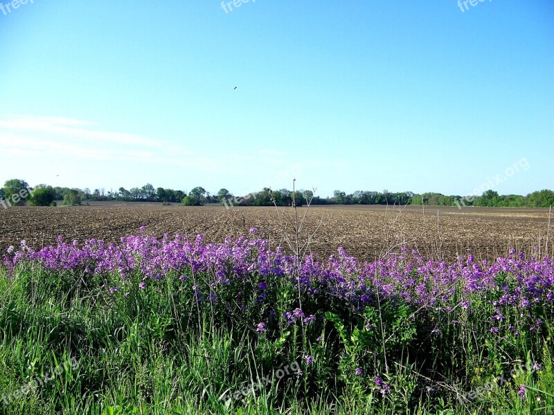 Flowers Country Rural Field Plowed