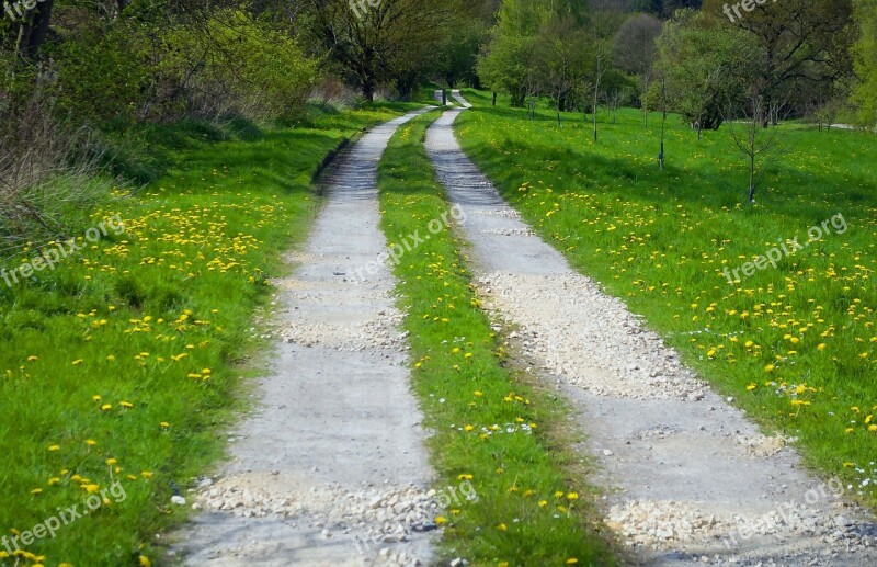 Way Landscape Nature Season Spring