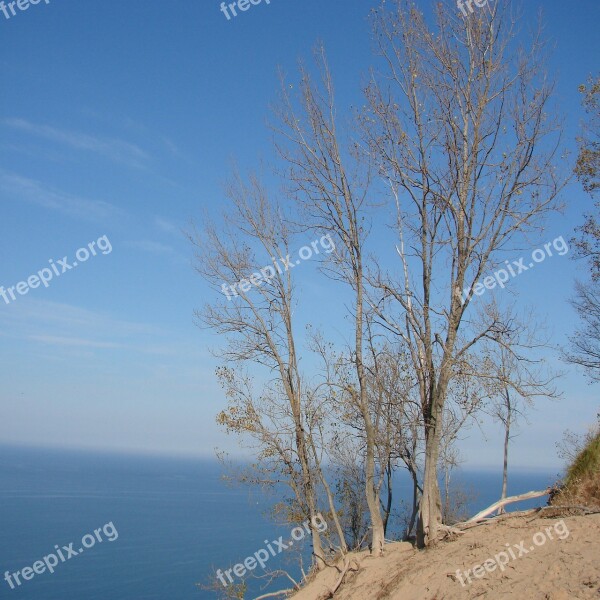 Tree Bare Fall Beautiful Sand