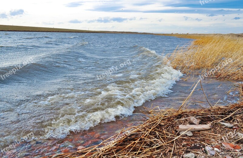 Lake Water Wave Grass Reeds