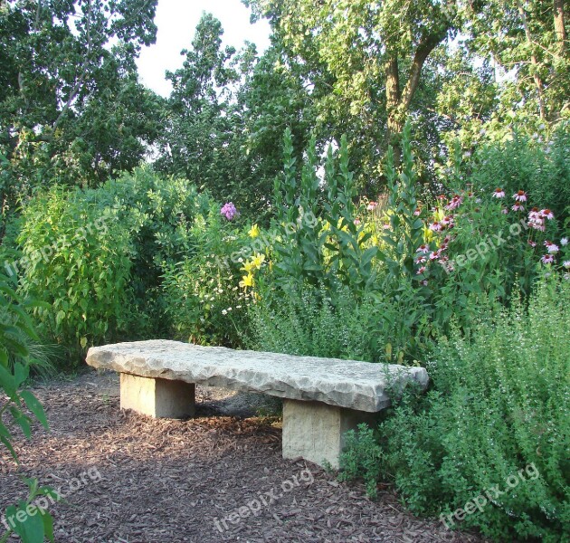 Stone Bench Flowers Plants Nature