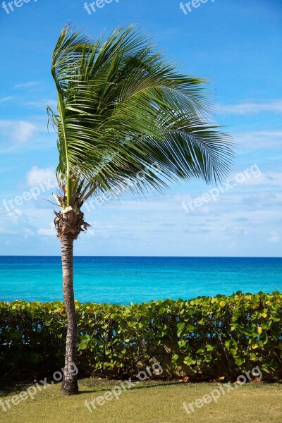 Beach Beautiful Blue Coast Landscape