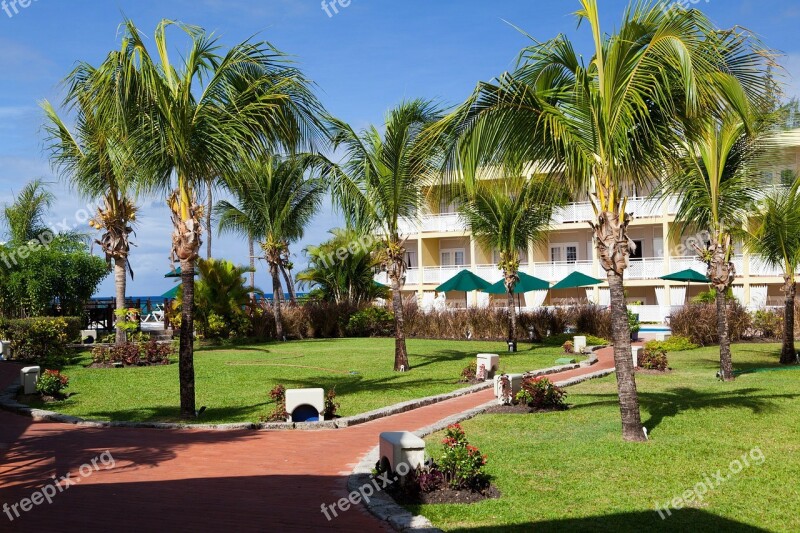 Caribbean Holiday Hotel Outdoor Palms