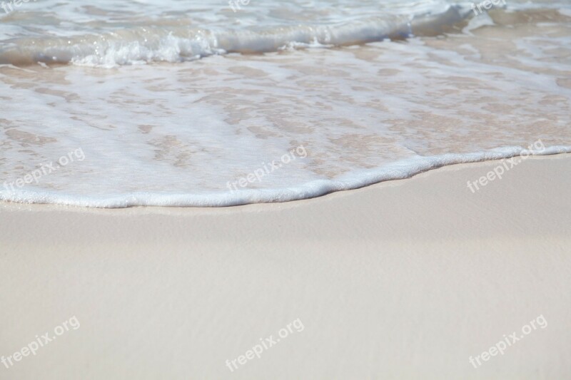 Beach Coast Foam Line Nature