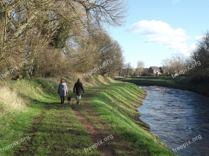 Dog Walking Walking Dog River Bank