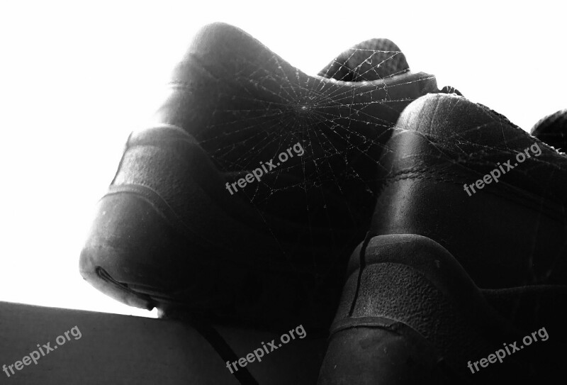 Shoes Shoe Old Working Web