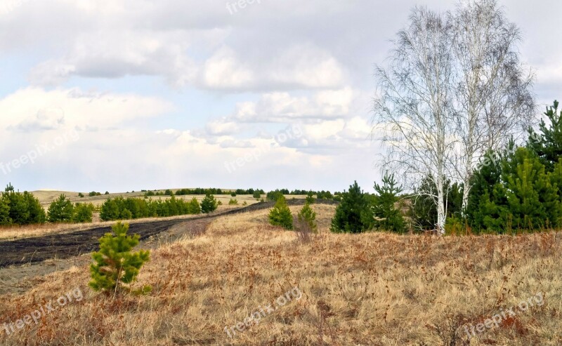 Road Field Sky Nature Yellow