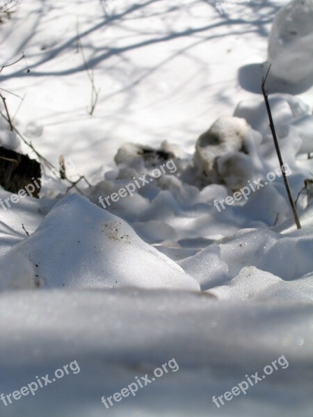 Snow Cold Light Winter Field