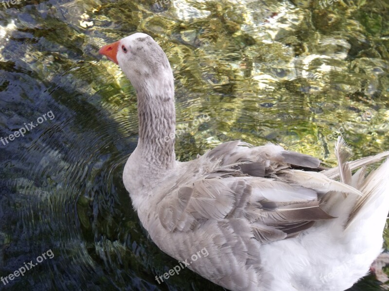 Muğla Akyaka Travel Nature Water