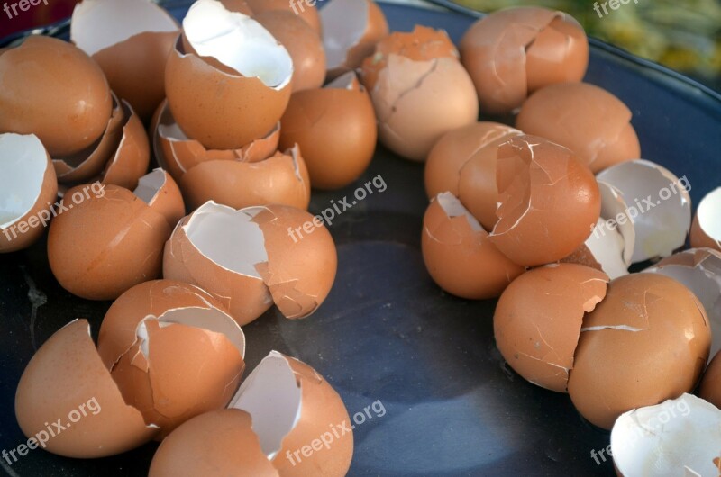 Egg Shell Shells Broken Cooking