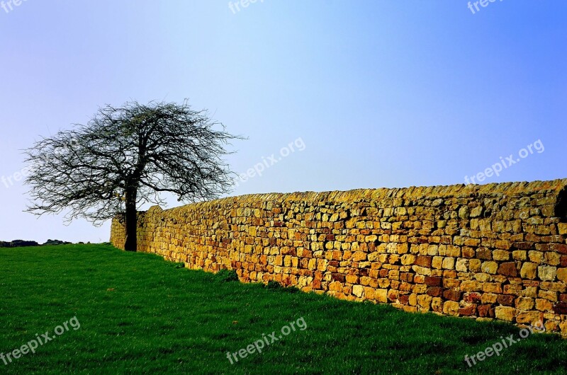 Season Spring Nature North Landscape