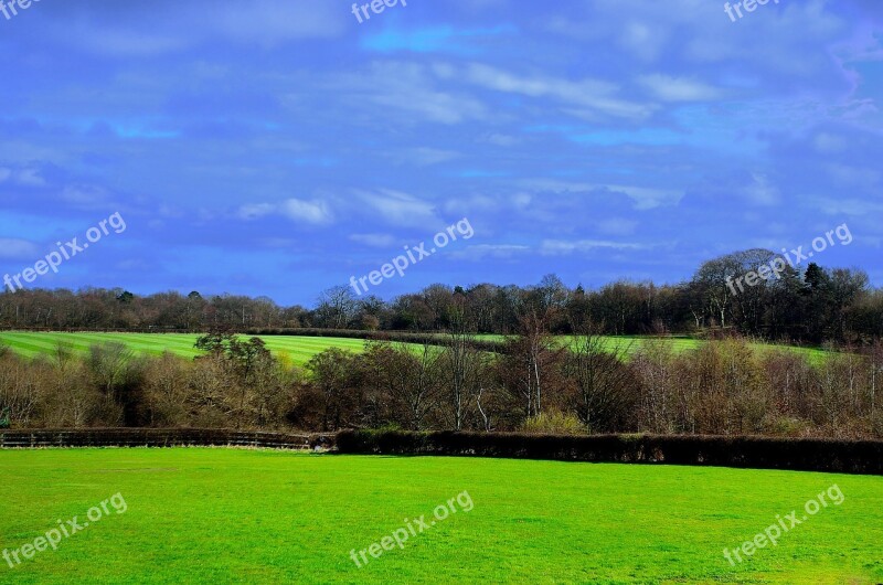 Landscape Spring Nature Grass Trees