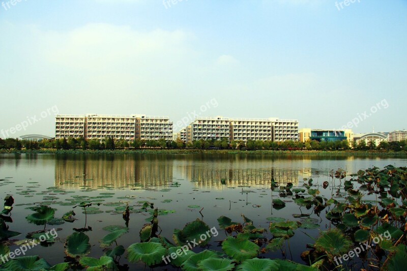 High-rise Building Housing Block Campus Block Of Flats Living