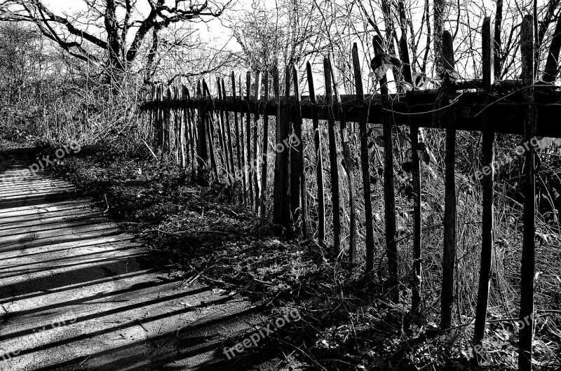 Fence Wood Old Nature Background