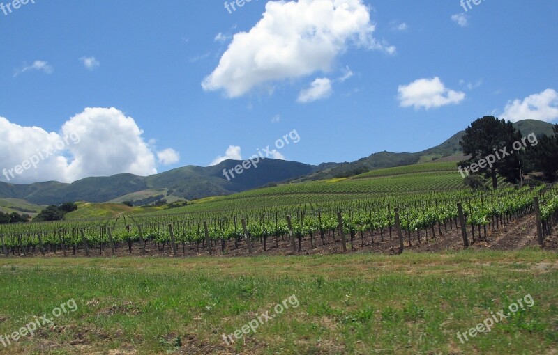 California Santa Ynez Valley Landscape Vineyard Farm