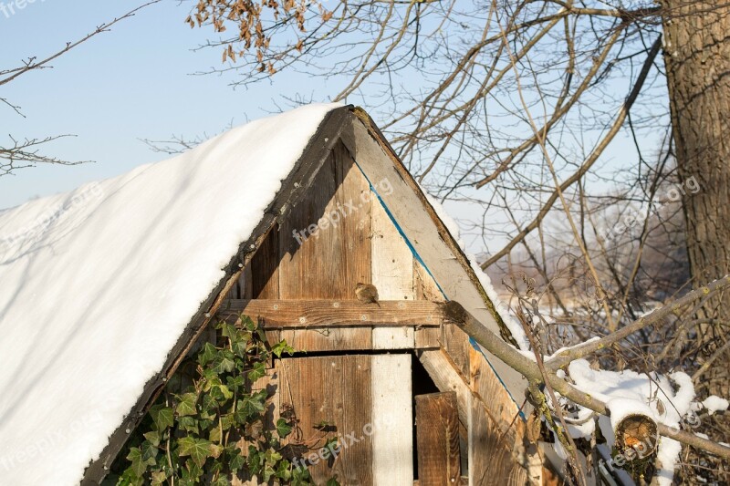 Hut Bird Log Cabin Animal Winter