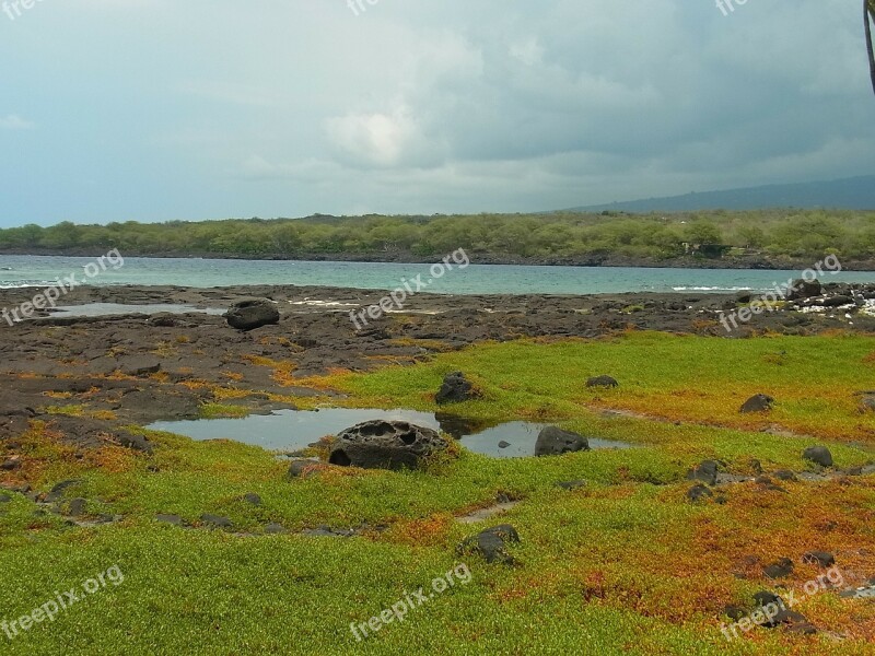 Island Of Hawaii Hawaii Sea Beach Free Photos