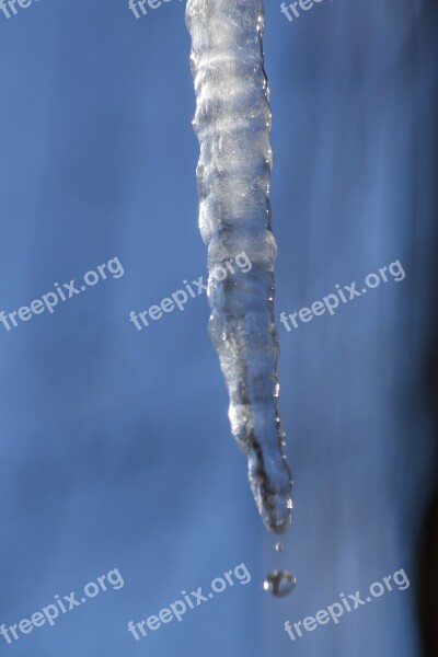 Ice Icicle Cold Winter Roof