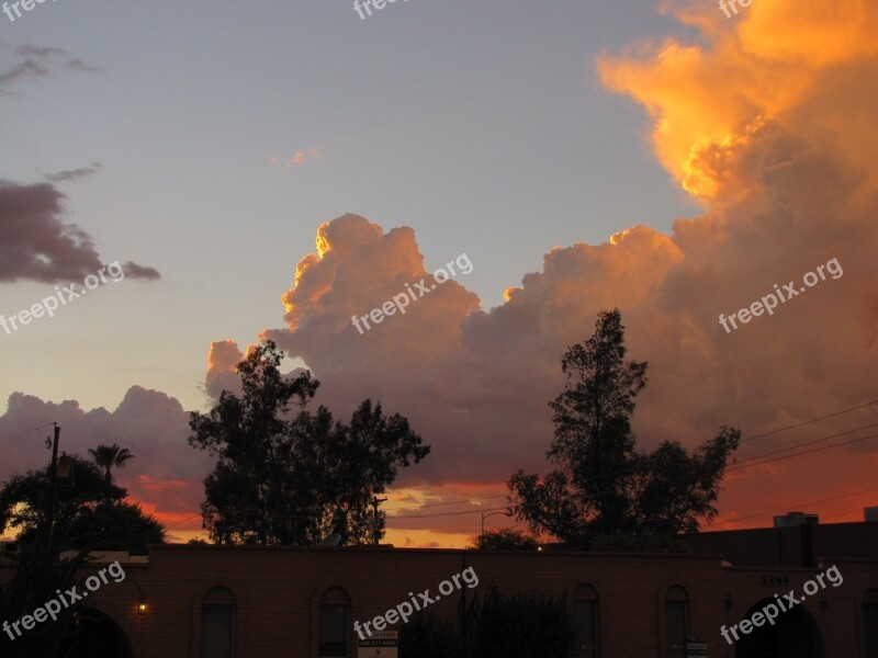 Clouds Sky Sunset Orange Trees