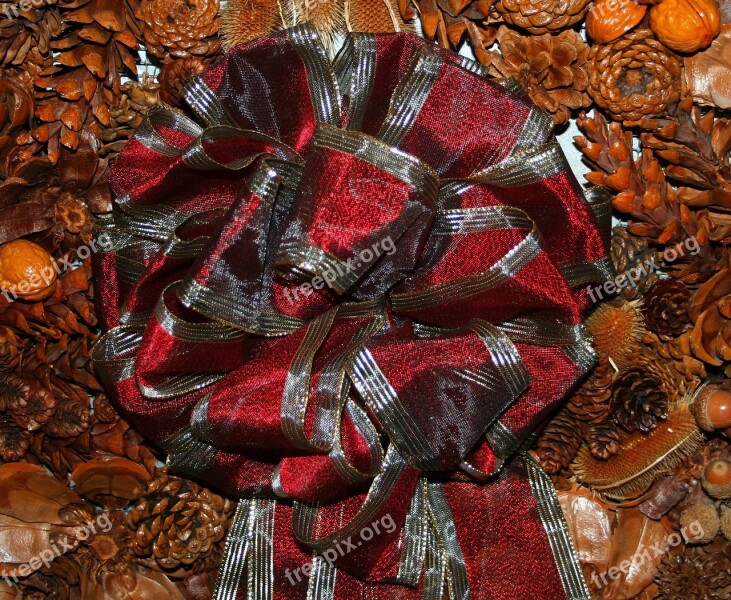 Ribbon Bow Christmas Pine Cones Dried Teasel