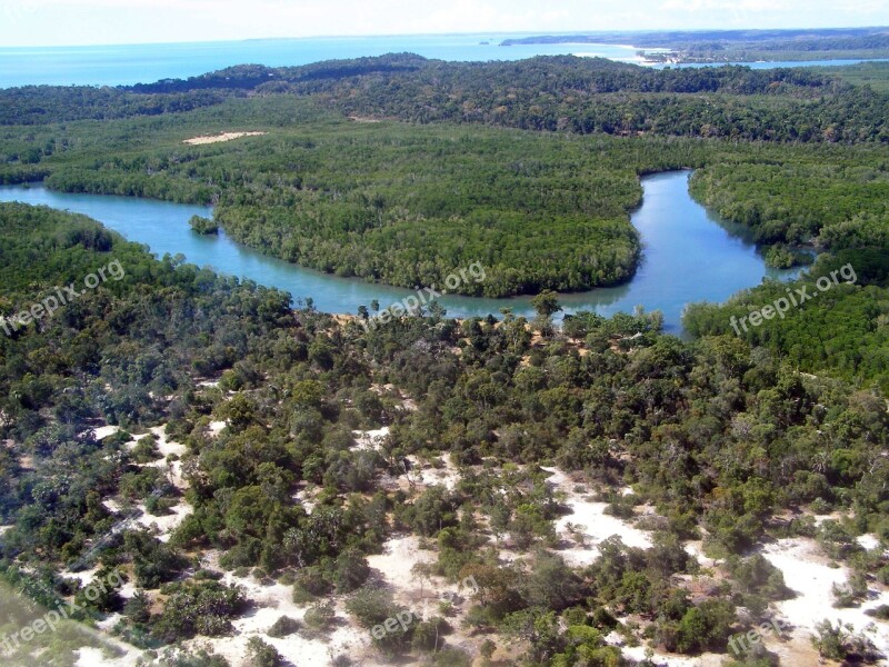 Landscape Forest Nature Trees River