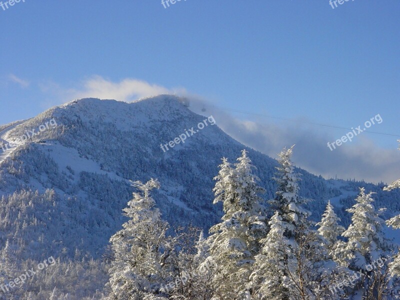 Vermont Snow New England Trees Winter