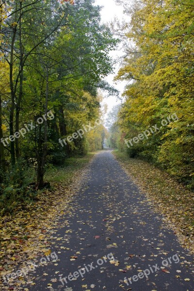 Autumn Away Leaves Trees Free Photos