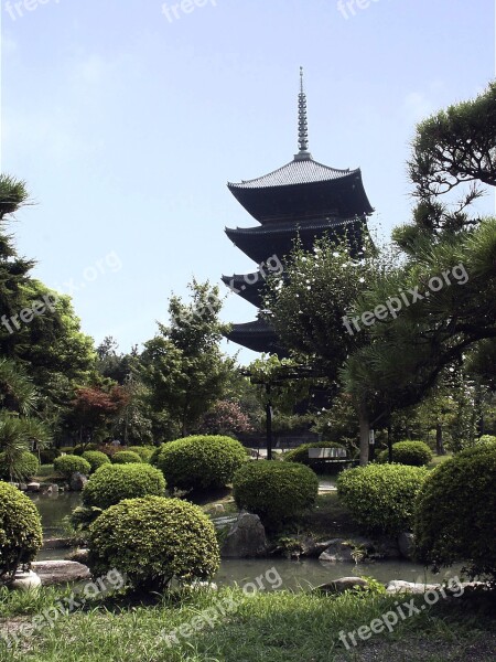 Japan Temple Wood Tradition Landscape