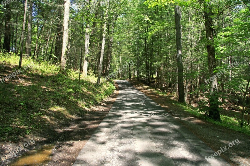 Tennessee Smoky Mountains Landscape Forest Countryside