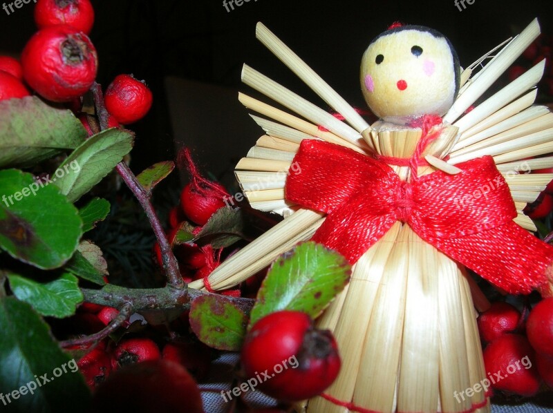 Holidays Christmas Reed Decoration Free Photos