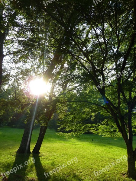 Green Somme Park Mainau Sun