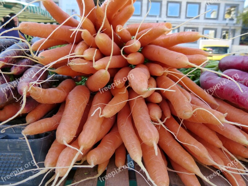 Carrots Vegetables Carrot Fresh Food