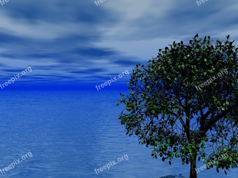 Sea Ocean Sky Clouds Tree