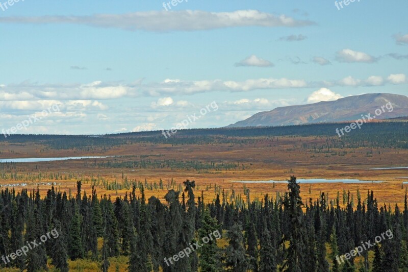 Alaska Forest Mountain Mountains Wilderness