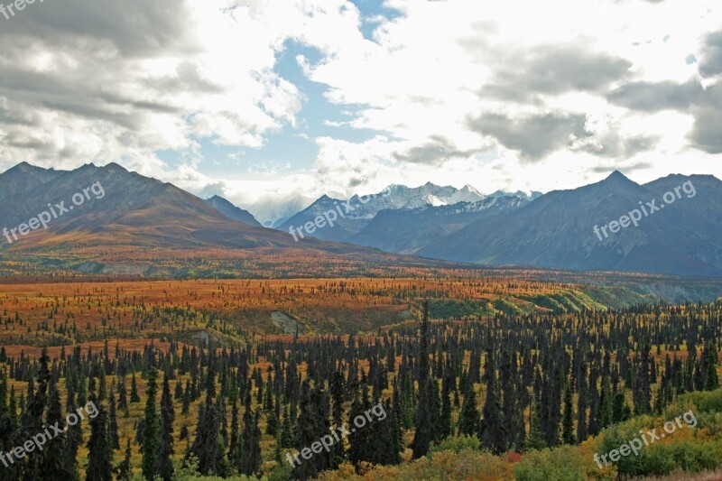 Alaska Wilderness Mountains Wilderness Mountain Woods