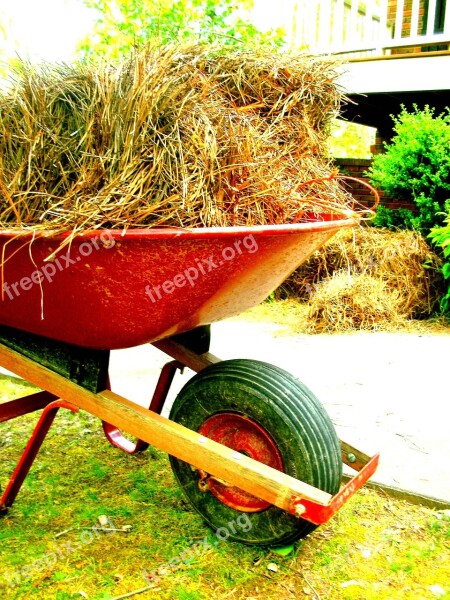 Wheelbarrow Outside Outdoor Equipment Pine Straw