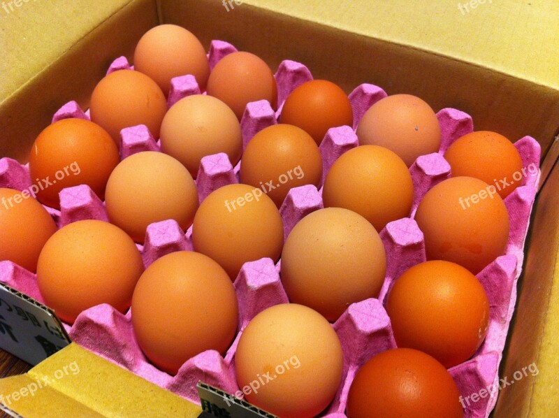 Egg Carton Box Of Eggs Egg Box Eggs Food