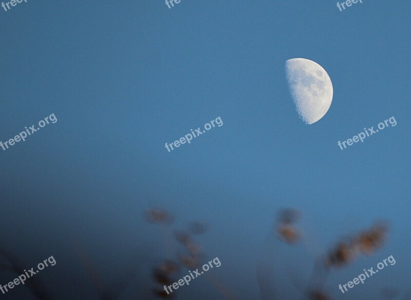 Half Moon Lunar Luna Orb Sky