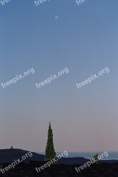 Abendstimmung Moon Sea Landscape Cypress